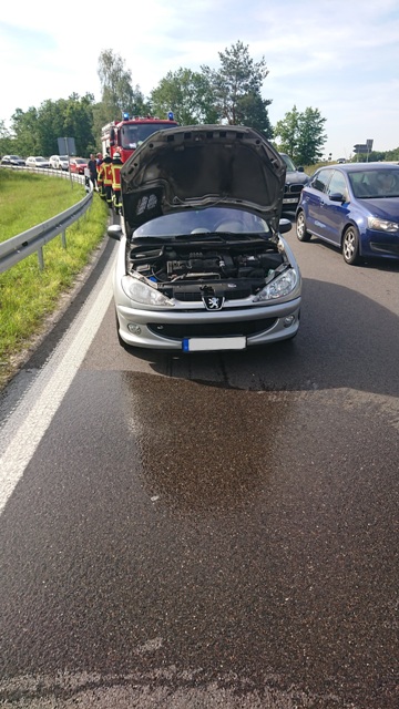 DSC_0097 bearbeitet groß.jpg